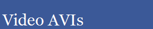 Video AVIs